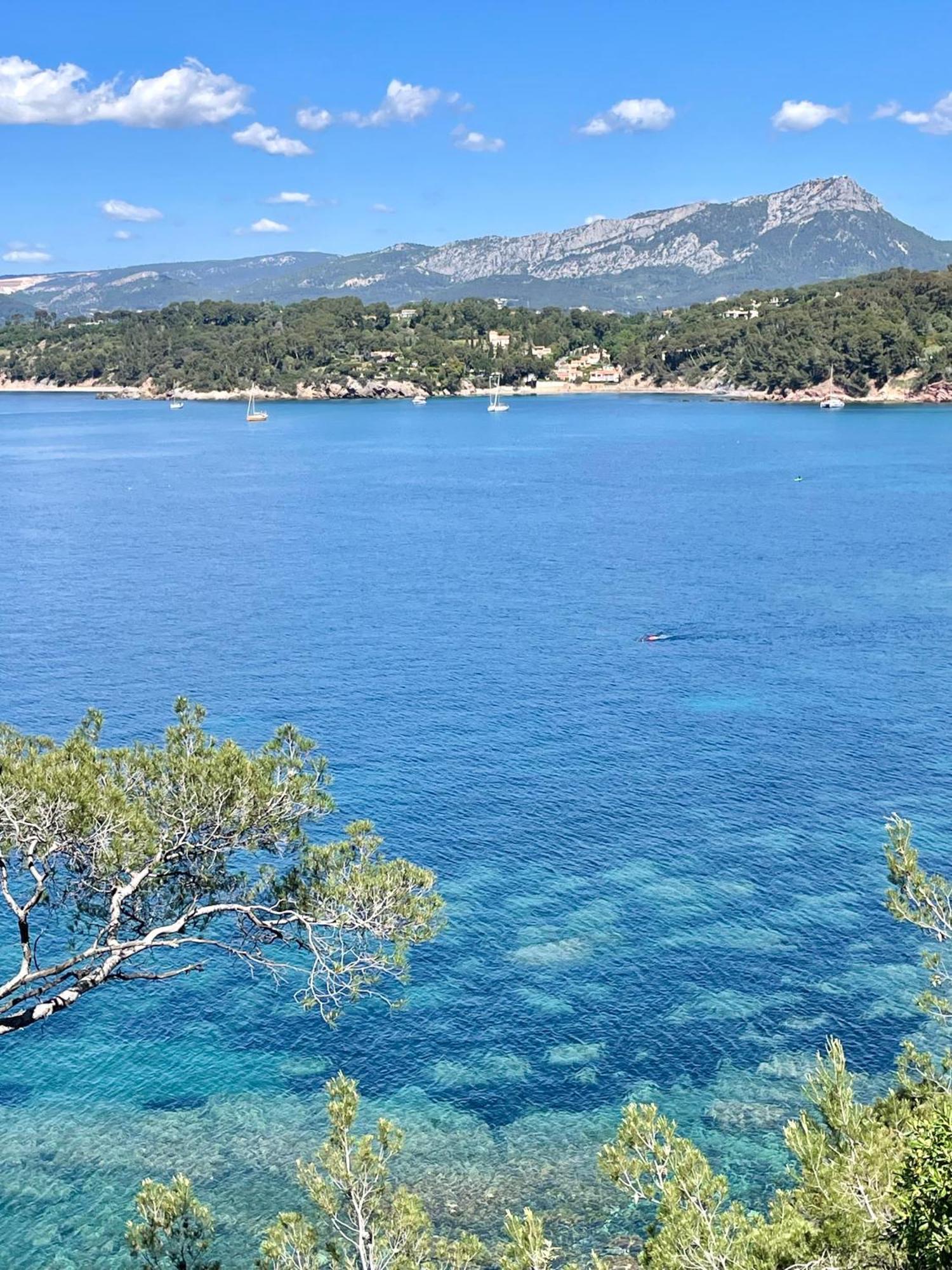 Appartement Cosy Vue Mer A 50 M De La Plage - Refait A Neuf Et Climatise Le Pradet Kültér fotó