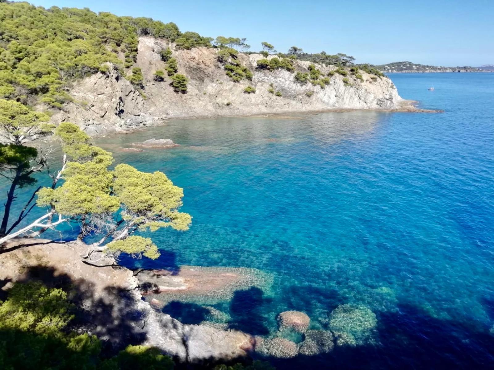 Appartement Cosy Vue Mer A 50 M De La Plage - Refait A Neuf Et Climatise Le Pradet Kültér fotó